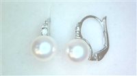 Pendientes Ticchi Maurizio Mujer Perle in Oro blanco Perla OB00045 - OB00045
